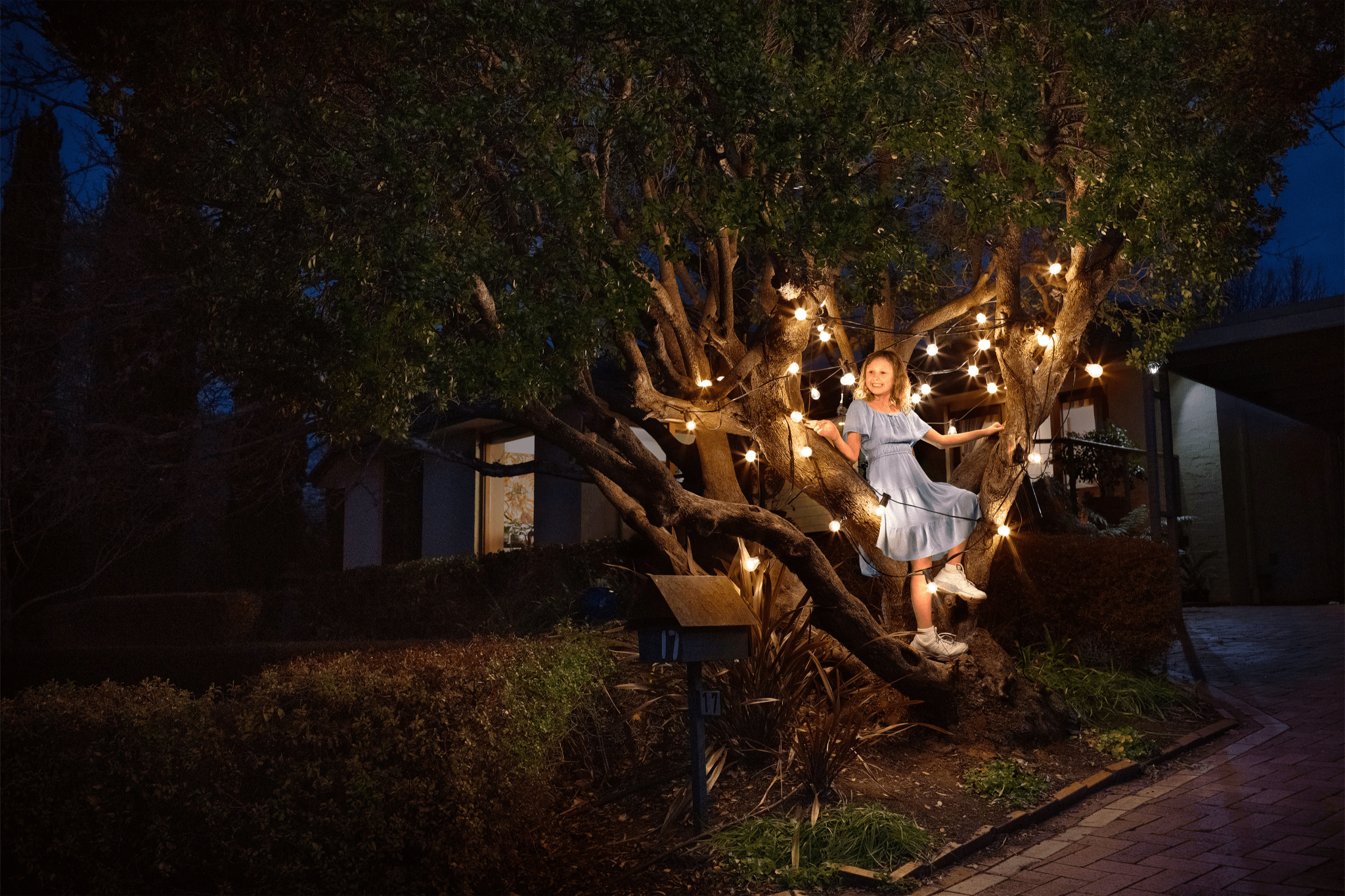 Choosing a plan featuring the girl in a tree with lights
