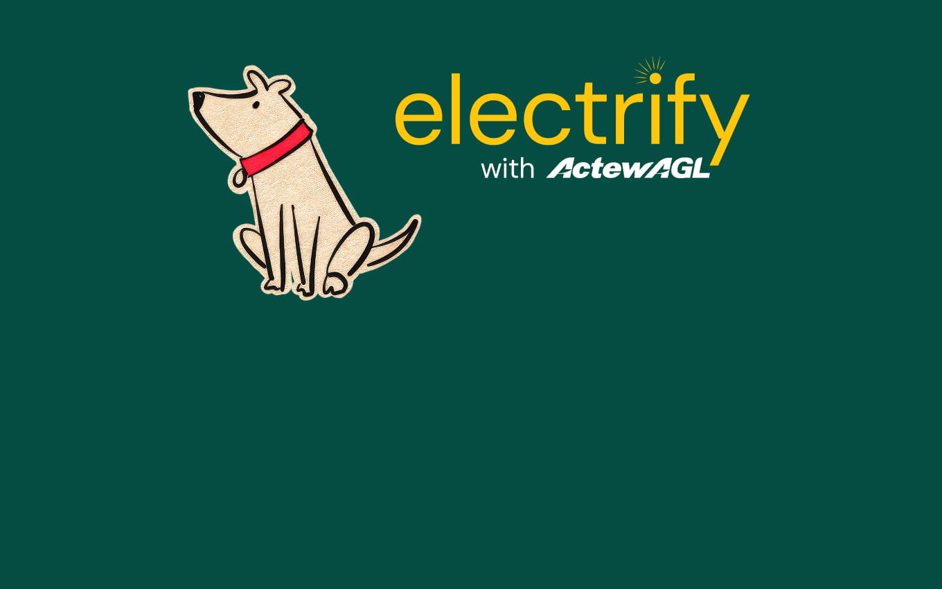 Electrify with ActewAGL dog and logo