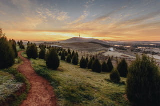 Sustainability Promise