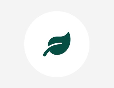 green leaf icon