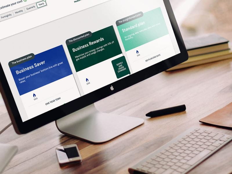 Screen showing ActewAGL business plans on the website 