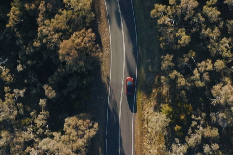 Scenic road acrosss forest