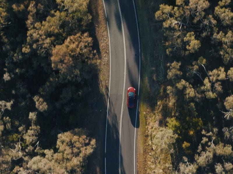 Top view of a straight road across the forest