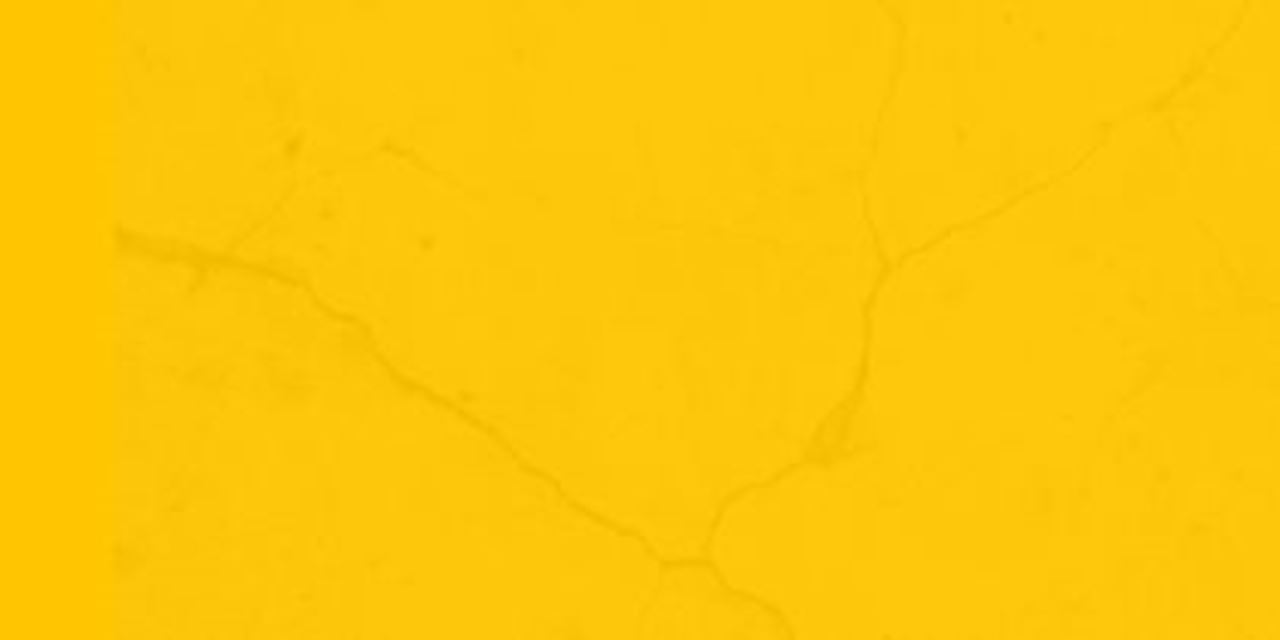 Solar plan card back ground