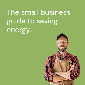 The small business guide to saving energy.