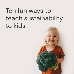 Understanding Sustainability