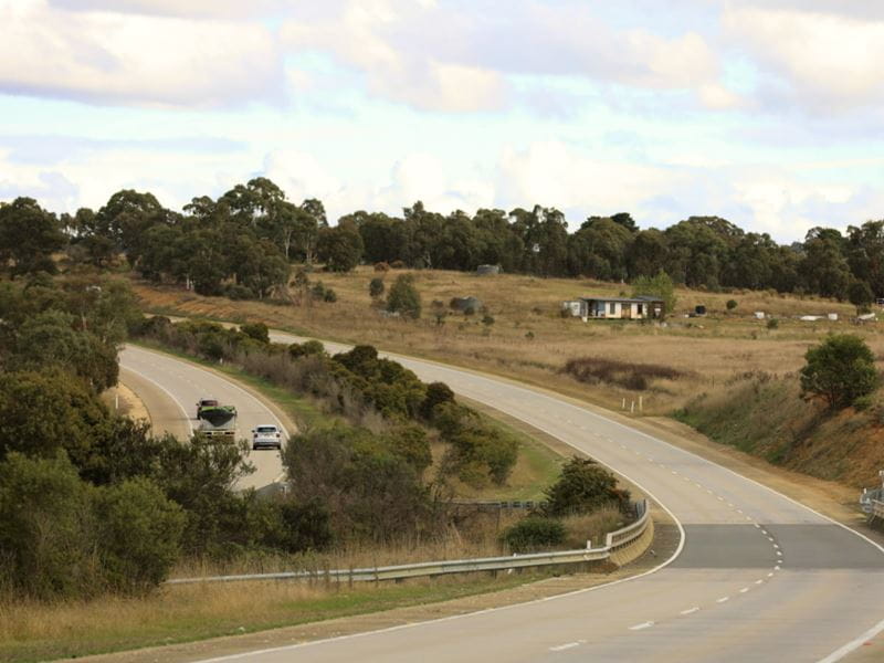 Country road curved and with surrounding trees